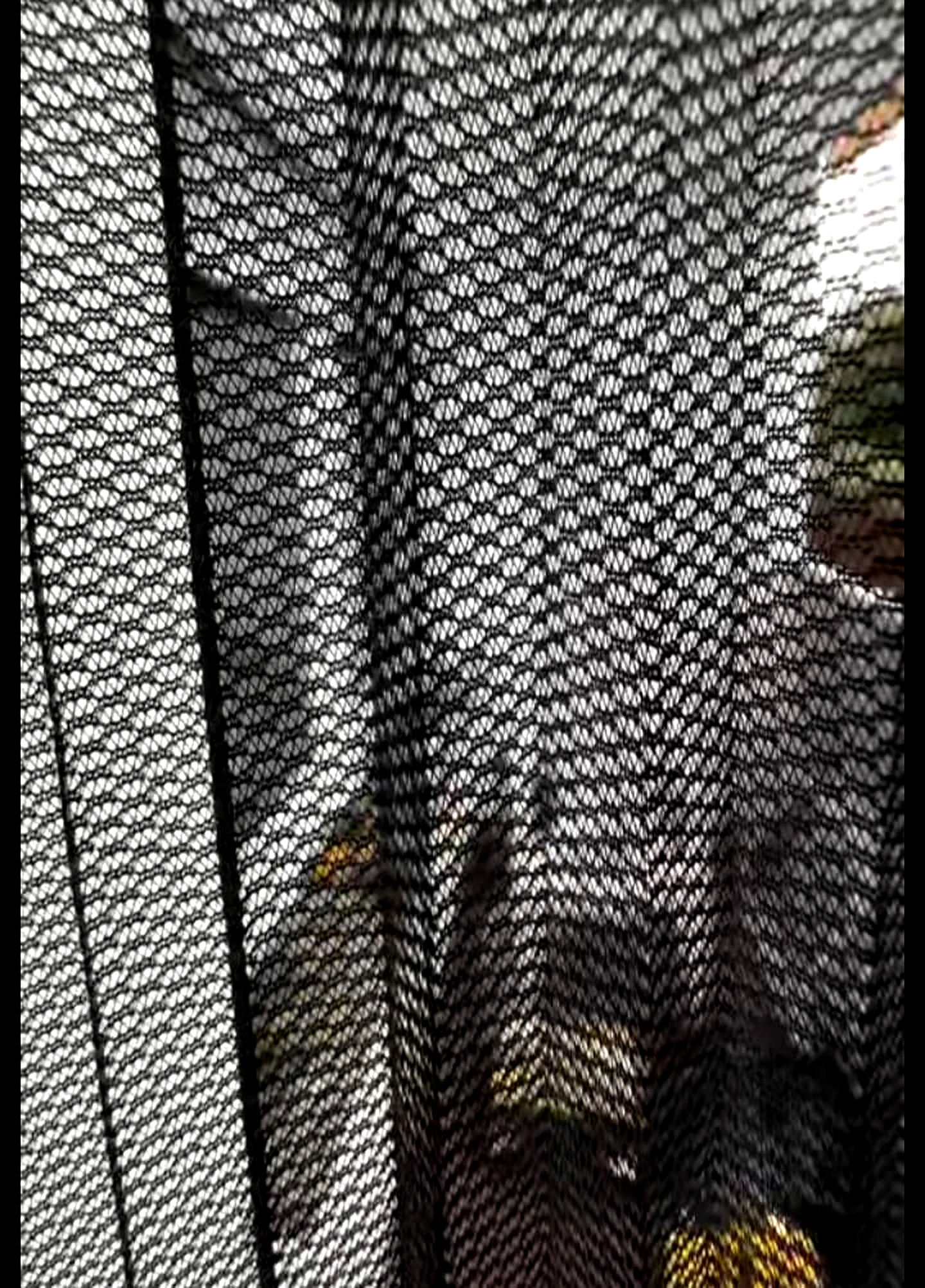 Bird Net Ahmedabad